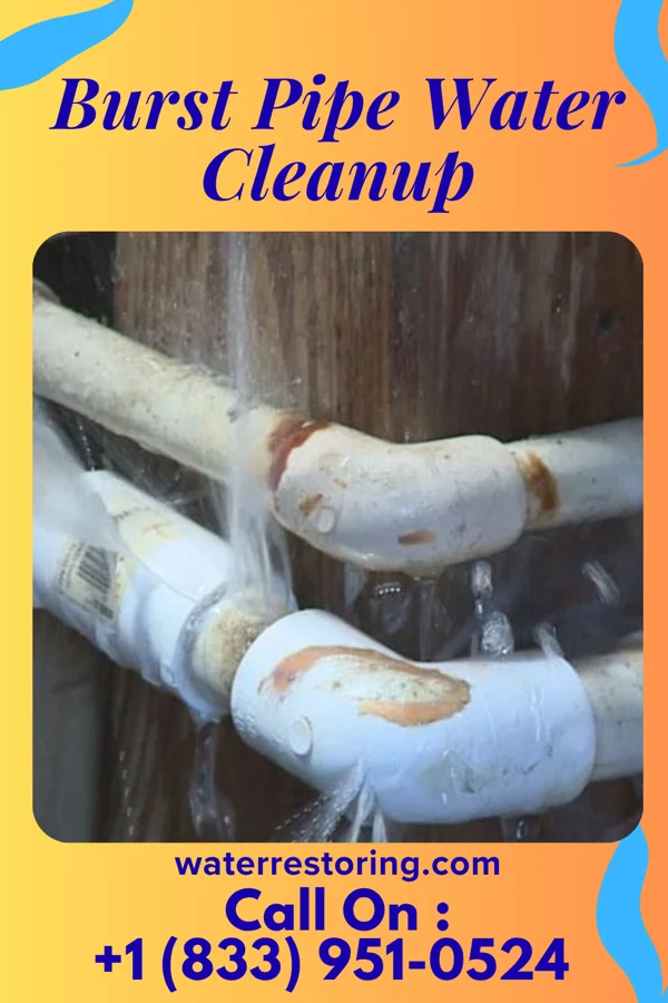 Burst Pipe Water Cleanup in Glendale, OH
