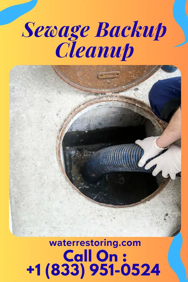 Sewage Backup Cleanup in Glendale, OH